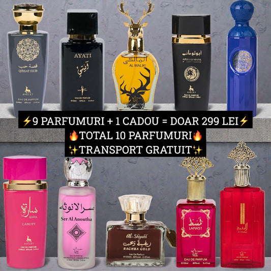 Pachet VIP - 10 Parfumuri - Transport Gratuit