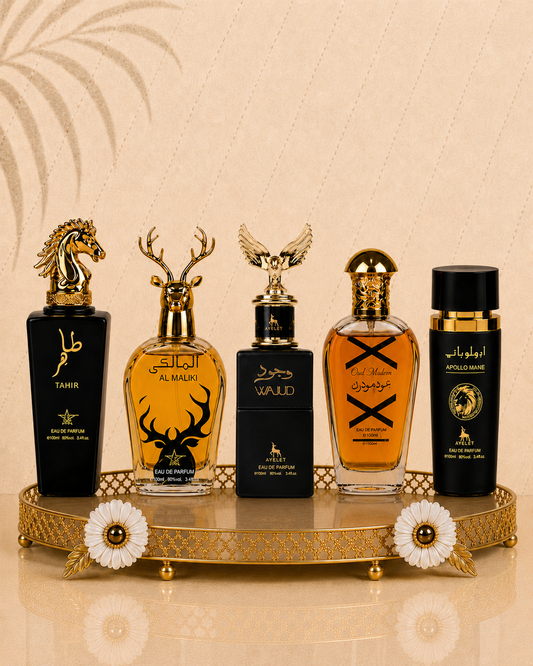 Set 5 Parfumuri Orientale Barbatesti - Tahir + Wajud + Apollo Black + Oud Modern + Maliki